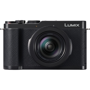 Panasonic L10