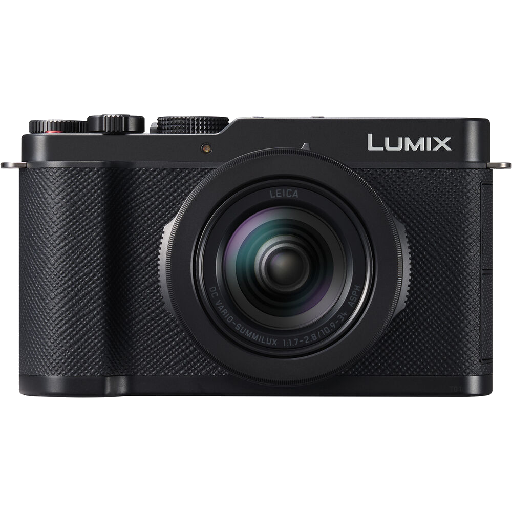 Panasonic L10